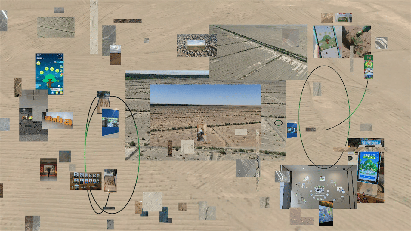 Flora Weil Ant Forest